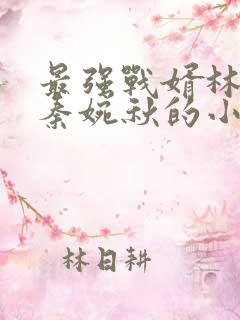 最强战婿林萧和秦婉秋的小说