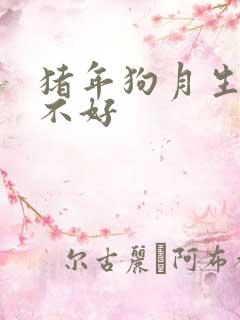 猪年狗月生的好不好