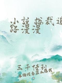 小说 总裁追妻路漫漫