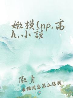 嫩模(np,高h,小说