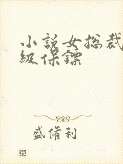 小说女总裁的神级保镖