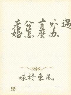 老公有外遇提离婚怎么办