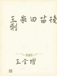 玉米田苗后除草剂
