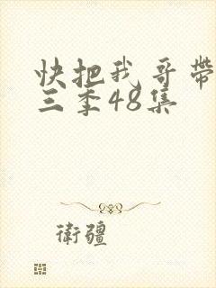 快把我哥带走第三季48集