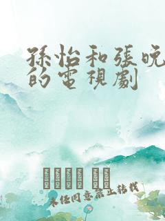 孙怡和张晚意演的电视剧