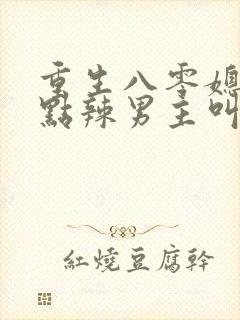 重生八零媳妇有点辣男主叫什么