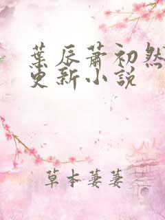 叶辰萧初然最新更新小说