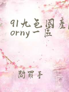 91九色国产porny一区
