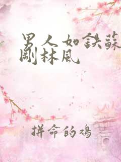 男人如铁苏柔赵刚林风