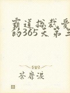 霸道总裁爱上我的365天第三季免费观看