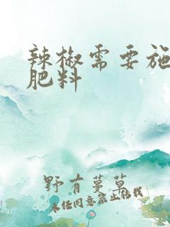 辣椒需要施什么肥料