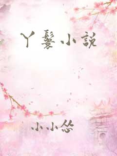 丫鬟小说