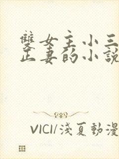 双女主小三爱上正妻的小说