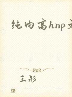 纯肉高hnp文