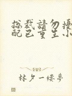 总裁请勿扰,原配已重生小说