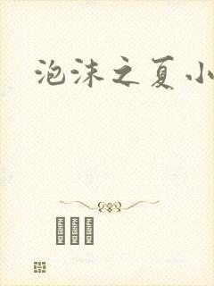 泡沫之夏小说1