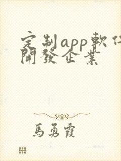 定制app软件开发企业