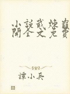 小说武炼巅峰杨开全文免费