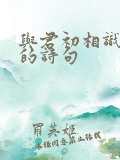 与君初相识类似的诗句