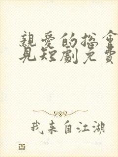 亲爱的总会再相见短剧免费观看全集完整