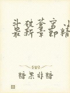 斗破苍穹 小说最新章节精校版