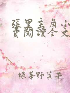 张里主角小说免费阅读全文无弹窗