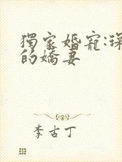 独家婚宠:琛少的娇妻