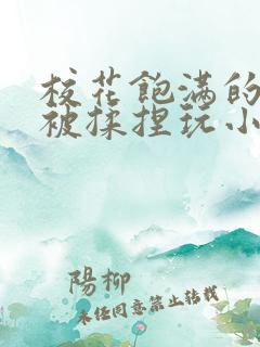 校花饱满的双乳被揉捏玩小说