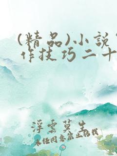 (精品)小说写作技巧二十讲(整理)