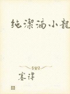 纯洁滴小龙小说
