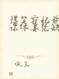 爆笑宠妃爷我等你休妻梵缺目录