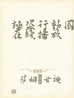 极盗行动国语版在线播放