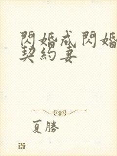 闪婚成闪婚总裁契约妻