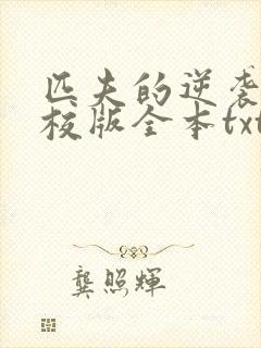 匹夫的逆袭 精校版全本txt