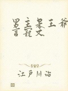 男主是王爷的古言宠文