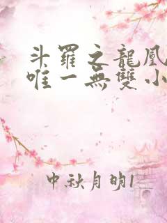 斗罗之龙凰传说唯一无双小说