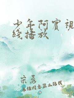 少年阿宾视频在线播放