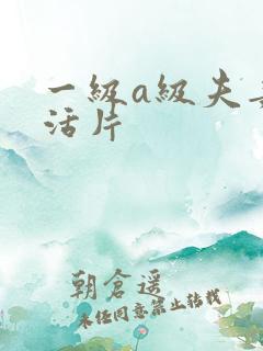 一级a级夫妻生活片