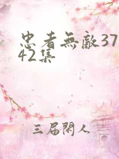 忠者无敌37至42集