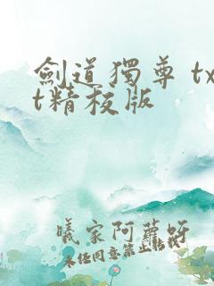 剑道独尊 txt精校版