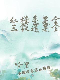 红楼梦是金陵十三钗还是金陵十二钗