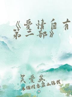 《爱情自有天意第二部》