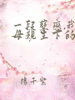 一段孽恋,我与母亲生下的孩子小说