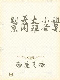 别惹大小姐,她京圈亲爸是女儿奴后续
