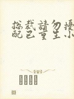 总裁请勿扰,原配已重生小说免费阅读