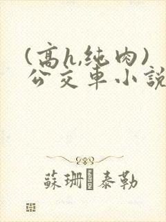 (高h,纯肉)公交车小说