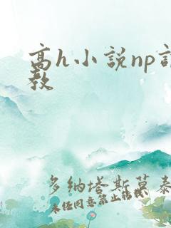 高h小说np调教