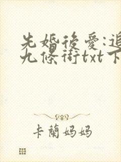 先婚后爱:追妻九条街txt下载全本