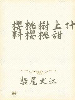 樱桃树上什么肥料樱桃甜