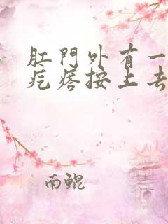 肛门外有一个硬疙瘩按上去有痛感